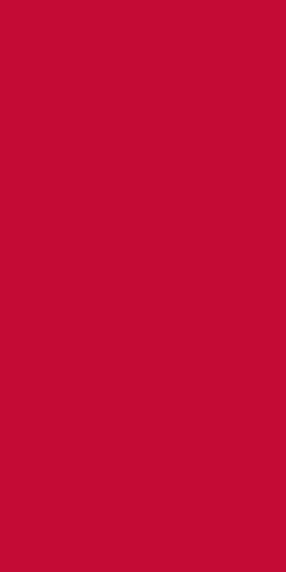 2101-F00 HG Red