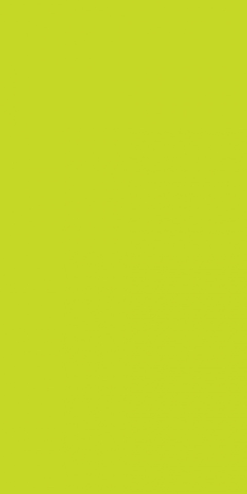 2446F00 Lime