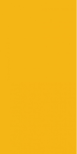 2167M10 Deep Yellow