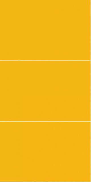 2167M6040 Deep Yellow