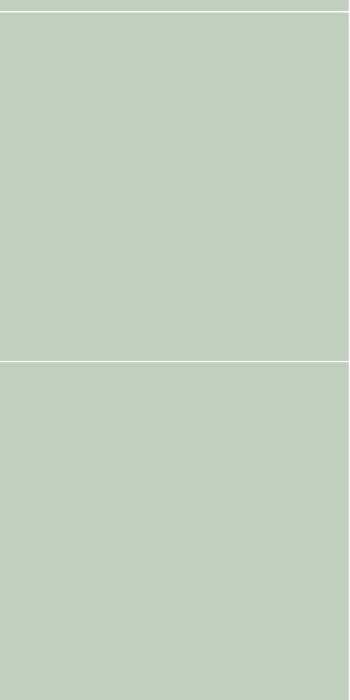 3085LM6060 Light Green