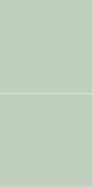 3085M6060 Light Green
