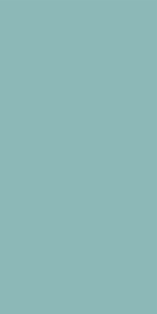 3212M00 Aqua Mint