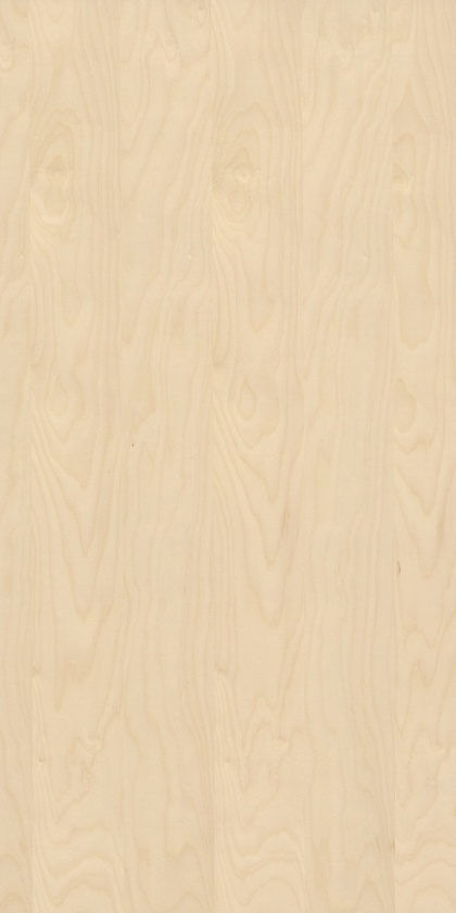 Panel fornirowany - Brzoza 3020 mm