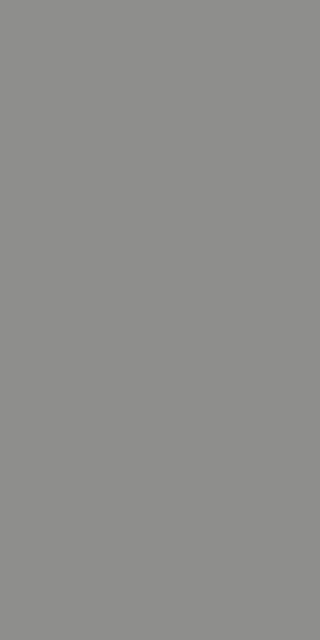 Panel ścienny Forestia Extreme EliteX 2500mm Grey Slate