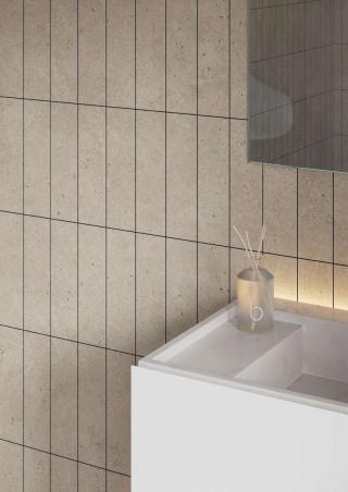 2490M0830 Rough Cement