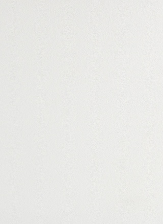 Panel ścienny Forestia OneStep 3040mm 14TFL White Inspiration