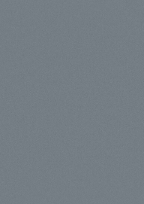Panel ścienny Forestia OneStep Premium Anthracite 2300mm - 4200mm Panel ścienny Forestia OneStep Premium Anthracite 2300mm - 4200mm