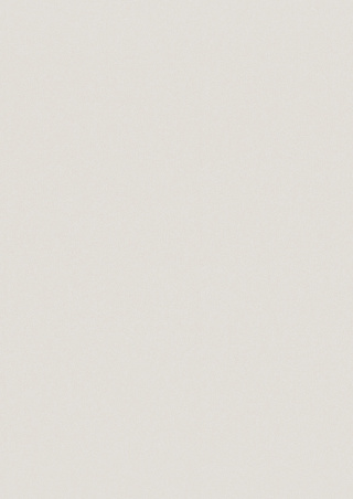 Panel ścienny Forestia OneStep Premium Light Grey 2300mm - 4200mm