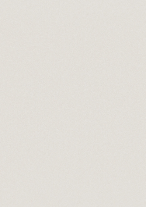 Panel ścienny Forestia OneStep Premium Light Grey 2300mm - 4200mm Panel ścienny Forestia OneStep Premium Light Grey 2300mm - 4200mm