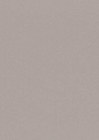 Panel ścienny Forestia OneStep Premium Warm Grey 2300mm - 4200mm