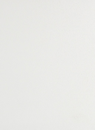 Panel ścienny - Forestia - Smooth White 2700 14TFL White Inspiration