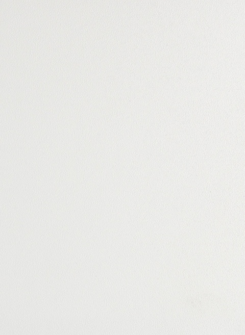 Panel ścienny - Forestia - Smooth White 3000 14TFL White Inspiration